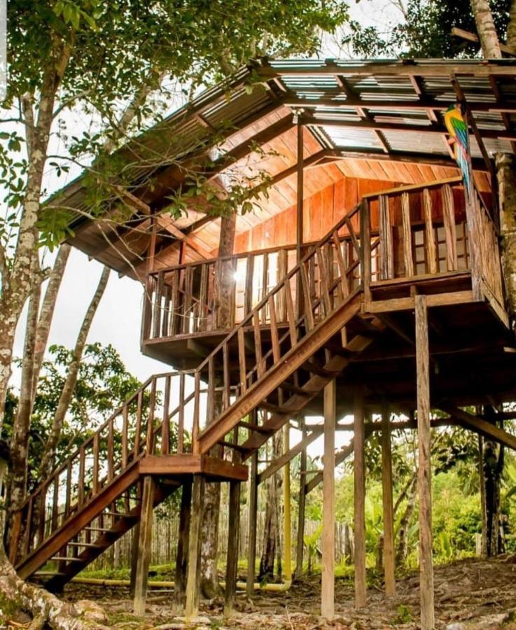 Hotel Karupa Amazonas Leticia Exteriér fotografie