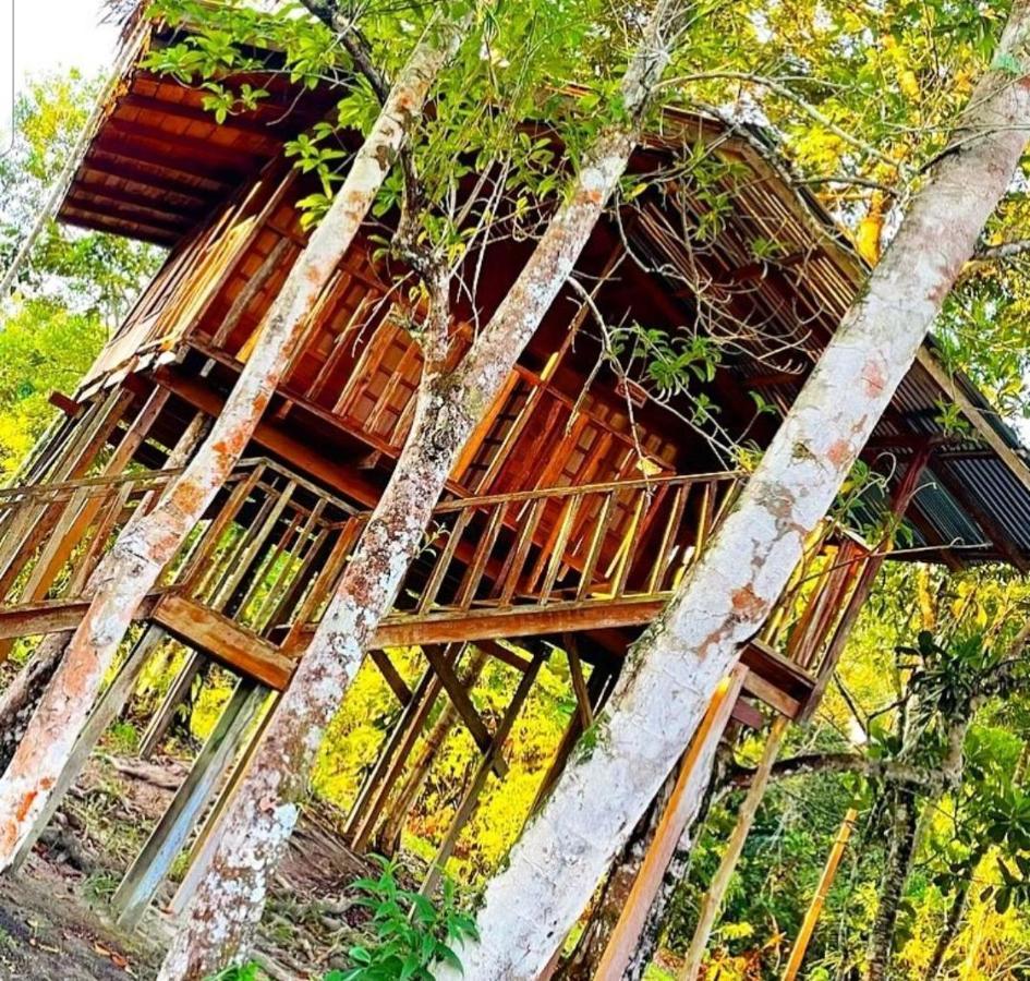 Hotel Karupa Amazonas Leticia Exteriér fotografie
