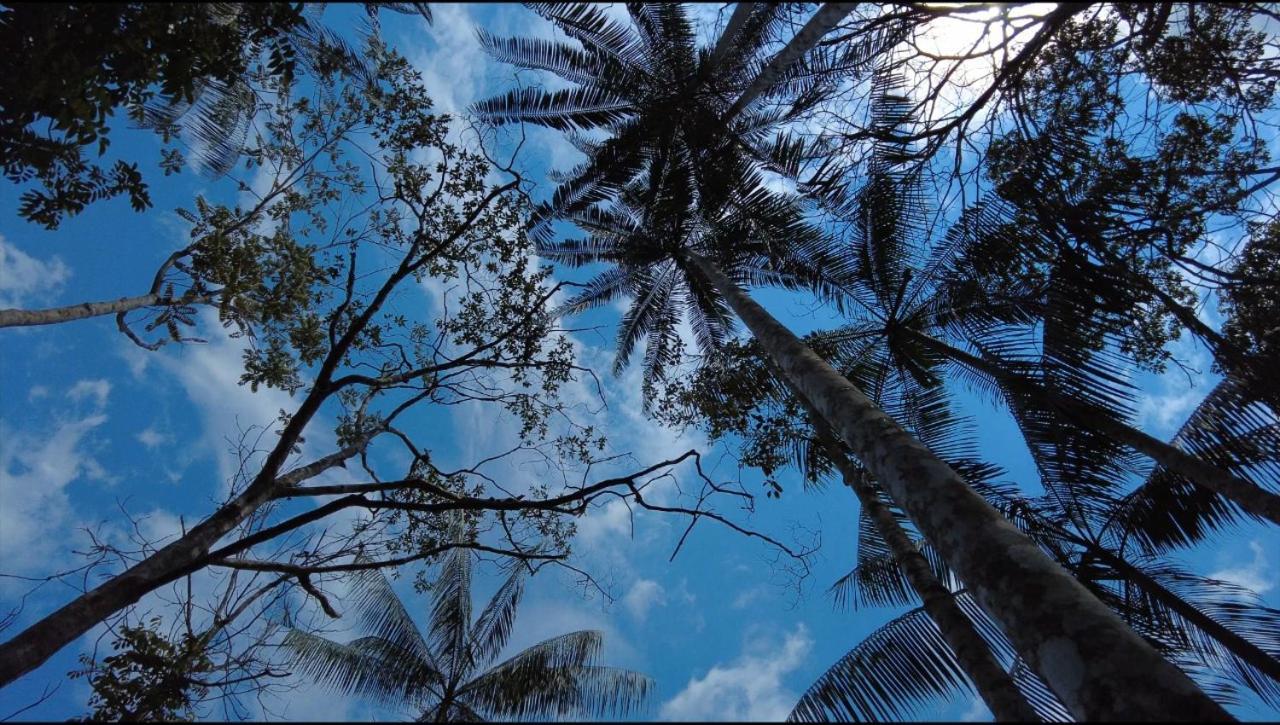 Hotel Karupa Amazonas Leticia Exteriér fotografie