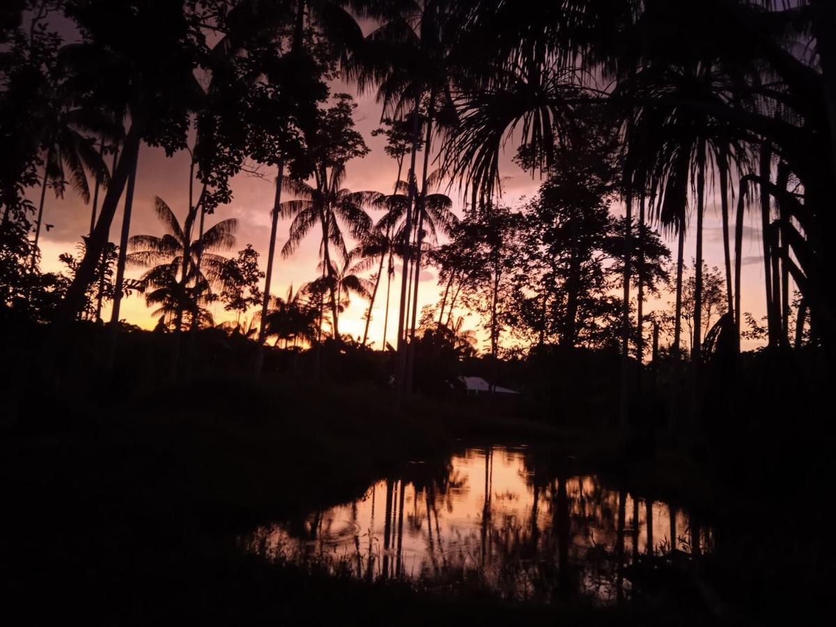 Hotel Karupa Amazonas Leticia Exteriér fotografie